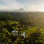 Gruen Ubud
