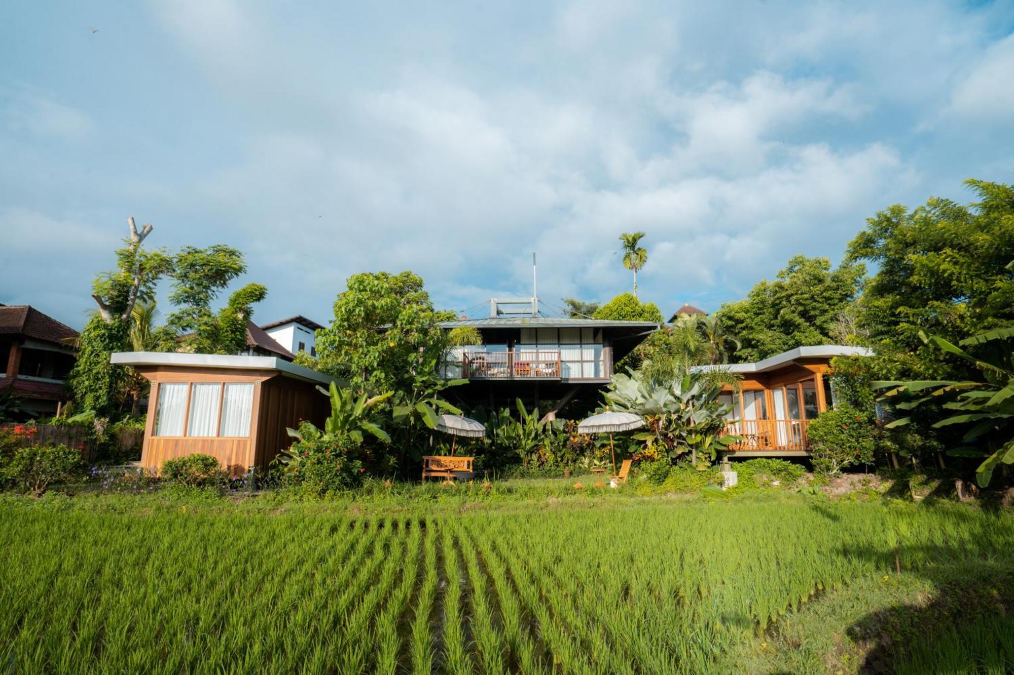 Gruen Ubud